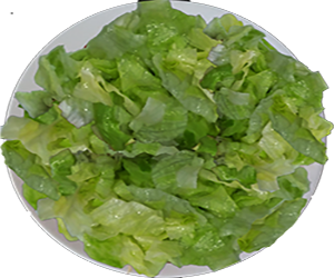 Lechuga