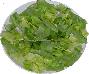 Lechuga